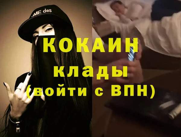 дмт Богородск