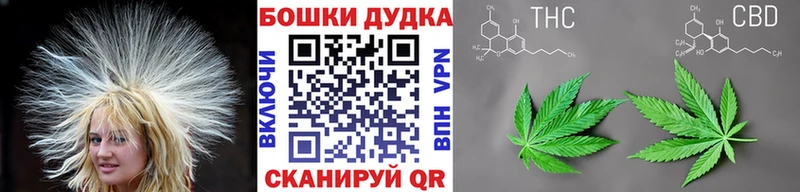 Каннабис сатива MEGA рабочий сайт Кольчугино